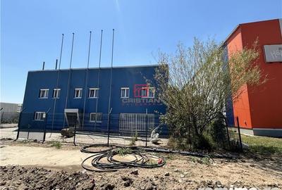 Spațiu comercial, în Domnești - 4