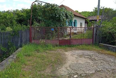 Casă cu 3 camere în Păcioiu