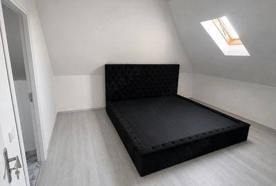 Casă cu Teren 540 Mp în Odaia Manolache - 3