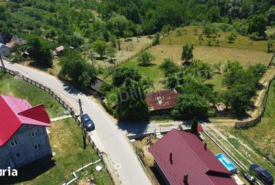 Teren de 6041 mp, în Cicănești