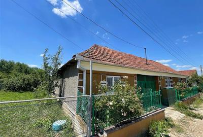 Casă cu 5 camere cu Teren 6770 Mp în Josani (Măgești) - 1