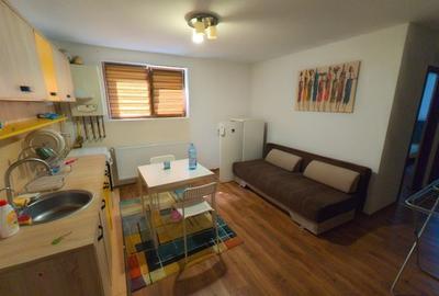 Apartament cu 2 camere semidecomandat în Dosu Bricii