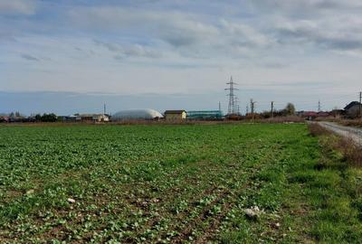 Teren Construcții intravilan de 6333 mp, în Aurel Vlaicu - 2