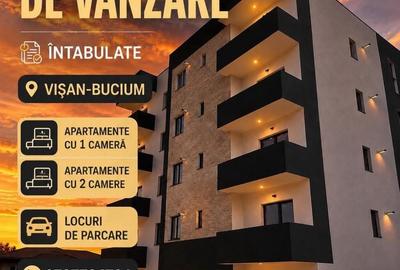 Garsonieră decomandată în Vișan - 1