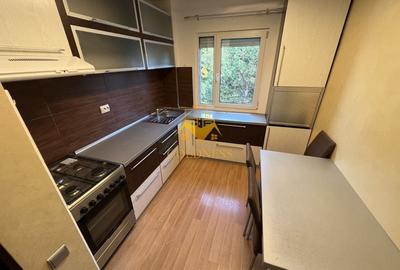 Apartament cu 3 camere semidecomandat, mobilat în Mănăștur - 10