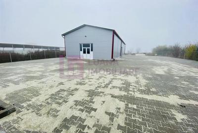 Spațiu industrial, de 270 mp, în Cristian - 1