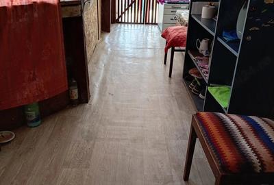 Casă cu 4 camere cu Teren 4000 Mp în Sintar