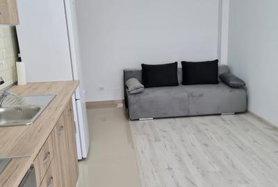 Garsonieră decomandată, mobilată în Chiajna