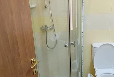 Garsonieră nedecomandată în Cișmigiu