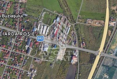 Teren de 3548 mp, în Buziașului