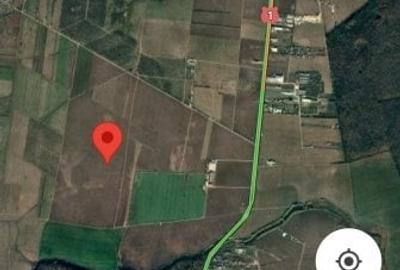 Teren agricol extravilan de 50000 mp, în Snagov - 5