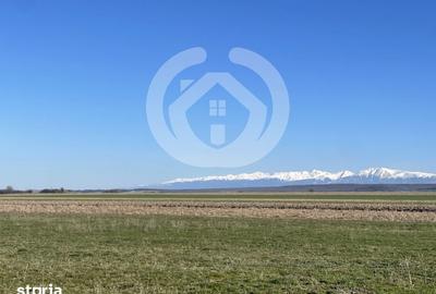 Teren de 11682 mp, în Cristian - 3