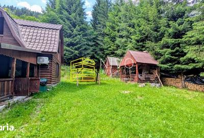 Casă cu 4 camere cu Teren 850 Mp în Lunca - 10