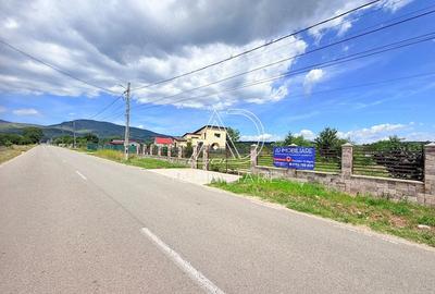 Teren de 8500 mp, în Runcu - 9