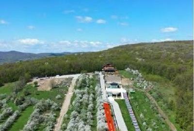 Teren de 1500 mp, în Grebănu - 2