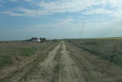 Teren de 480 mp, în Cârcea - 2