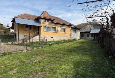 Casă cu Teren 1024 Mp în Scheiu de Jos