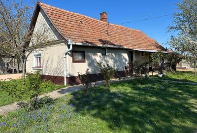 Casă individuală cu 2 camere cu Teren 4610 Mp în Ultracentral - 13