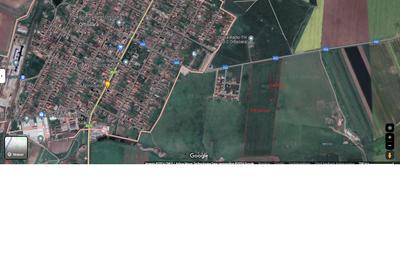 Teren agricol extravilan de 9800 mp, în Orțișoara - 1