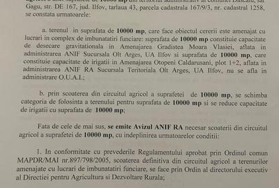 Teren Construcții intravilan de 10000 mp, în Dascălu - 7