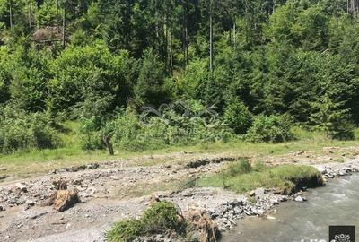 Teren de 63000 mp, în Bughea de Sus - 3
