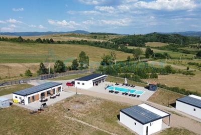 Proprietate specială, în Vadu Crișului - 14