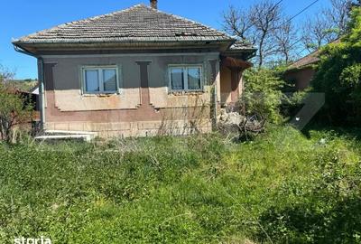 Casă cu 3 camere cu Teren 1200 Mp în Bălan