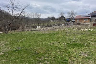 Casă cu 4 camere în Buda - 1