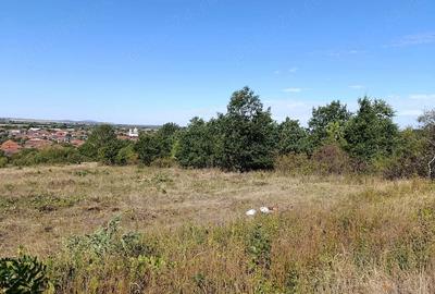 Teren de 3016 mp, în Central