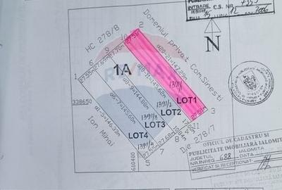 Teren agricol extravilan de 16083 mp, în Est - 3
