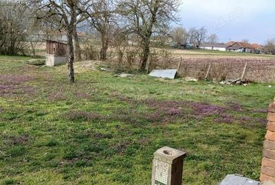 Casă cu 3 camere cu Teren 3222 Mp în Bretea Mureșană - 3