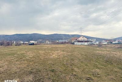 Teren de 3000 mp, în Aninoasa - 10