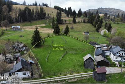 Teren de 3146 mp, în Pojorâta - 7