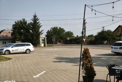Spațiu comercial, în Dănila