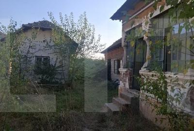 Casă cu Teren 5038 Mp în Pleșoiu