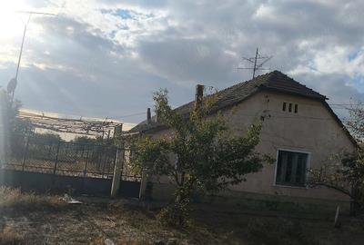 Casă cu 4 camere cu Teren 2518 Mp în Comloșu Mic