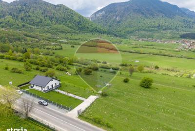 Teren de 1100 mp, în Tohănița