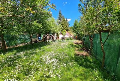 Casă cu 1 camere cu Teren 559 Mp în Sava - 1