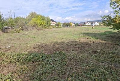 Teren de 2988 mp, în Ostroveni