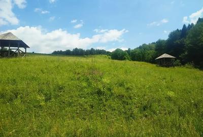 Teren intravilan de 46800 mp, în Gura Beliei
