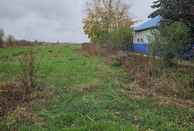 Teren de 18469 mp, în Butimanu