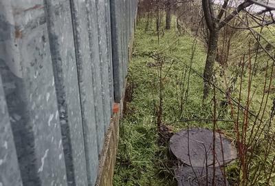 Casă cu 4 camere cu Teren 1450 Mp în Doba - 3