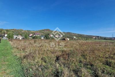 Teren agricol intravilan de 1705 mp, în Unirea - 1