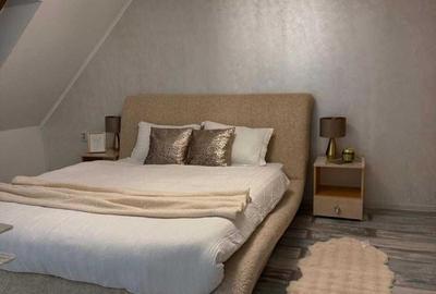 Apartament cu 3 camere, mobilat în 13 Decembrie - 5