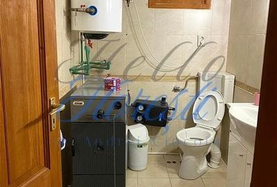 Casă cu 5 camere cu Teren 3000 Mp în Făget - 1