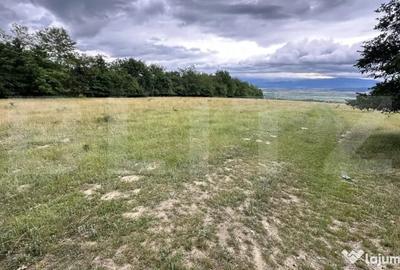 Teren în Geoagiu-Băi - 11