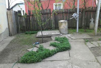 Casă cu 5 camere cu Teren 1800 Mp în Vădastra - 3
