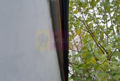 Casă individuală cu 2 camere cu Teren 200 Mp în Giulești - 21