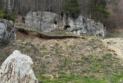 Teren de 6000 mp, în Dâmbovicioara - 2