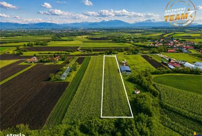 Spațiu comercial, în Dobolii de Jos - 5